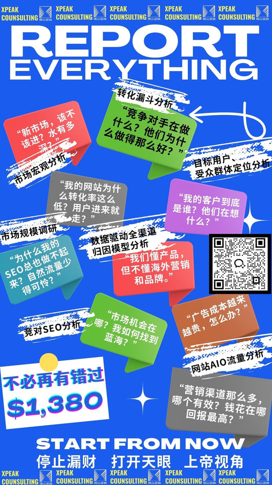 网站诊断与增长战略规划